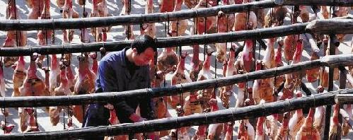 金華火腿漲聲一片 理由:都說(shuō)是豬肉太貴了