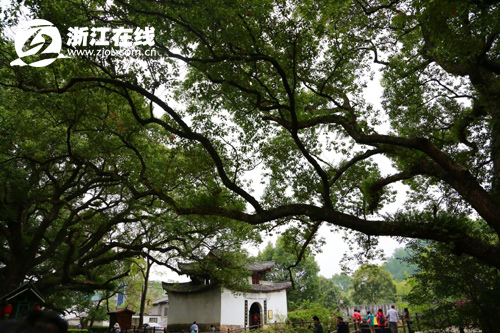 古堰畫(huà)鄉(xiāng)靈氣之源：微博互動(dòng) 亮點(diǎn)無(wú)處不在