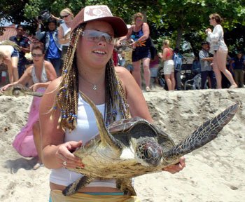 Foreign tourists release turtles into the sea at Kuta beach