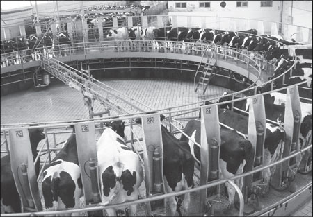 Raw milk provider to offer own brand dairy