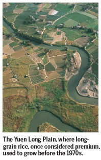 Return of rice home grown