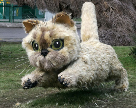 “草包”動(dòng)物展奪人眼球