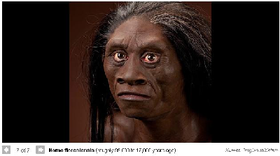 雷死人的人類祖先圖 看看你來自哪一款？