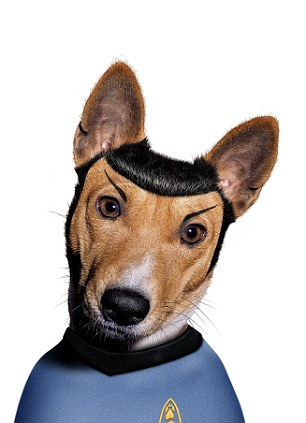 動物扮名士 美搞怪掛歷雷翻人