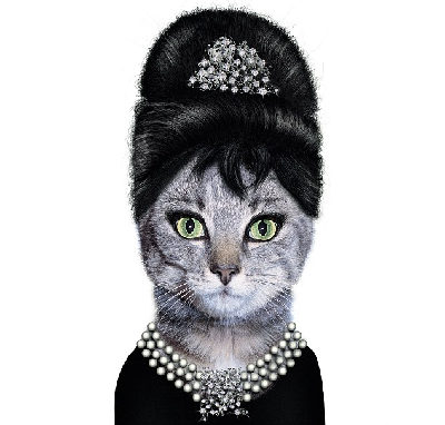 動(dòng)物扮名士 美搞怪掛歷雷翻人