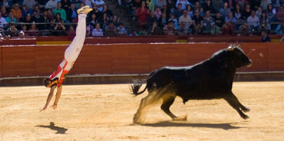 組圖:嘆為觀止的西班牙“飛牛”表演