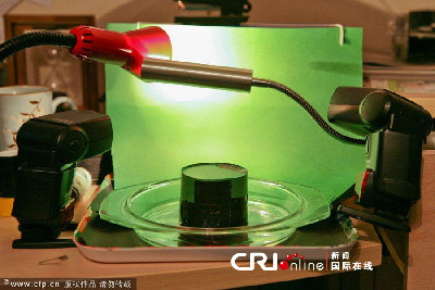 英國(guó)一工作室拍攝蚊子孵化場(chǎng)景(高清組圖)