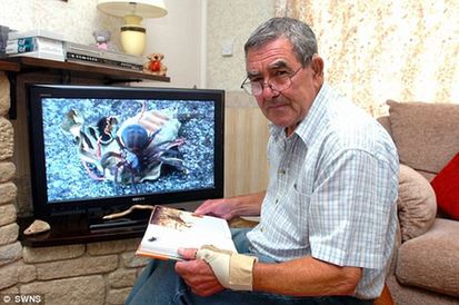 英國老人攝像機(jī)拍下大蜘蛛捕食畫面 疑似世界最毒蜘蛛