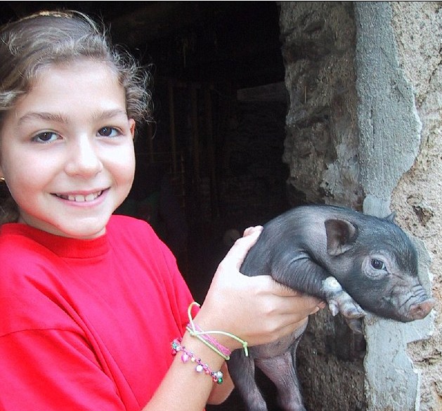 意寵物豬愛吃甜食重達(dá)90公斤 英豬寶貝游泳回家夠聰明