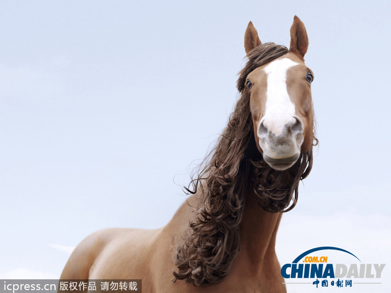 世界美發(fā)日 盤點(diǎn)牛人發(fā)型