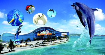 玩轉(zhuǎn)蛇年！盤點春節(jié)各大主題旅游線路（組圖）