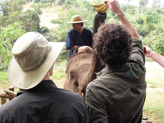 去泰國(guó)不能錯(cuò)過(guò)的20個(gè)旅游體驗(yàn)(組圖)