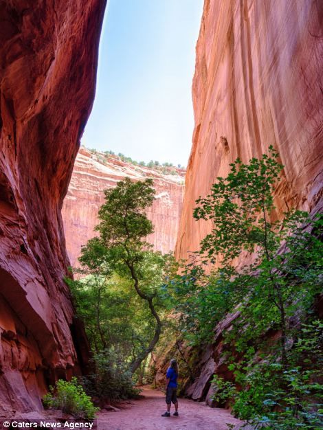 北美令人驚艷的大自然風(fēng)光(組圖)