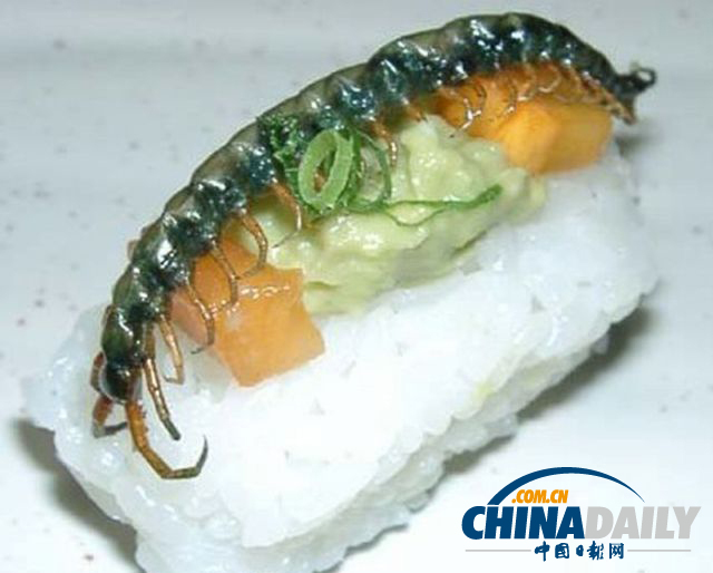 世界各地超級(jí)恐怖的蟲(chóng)子大餐（組圖）