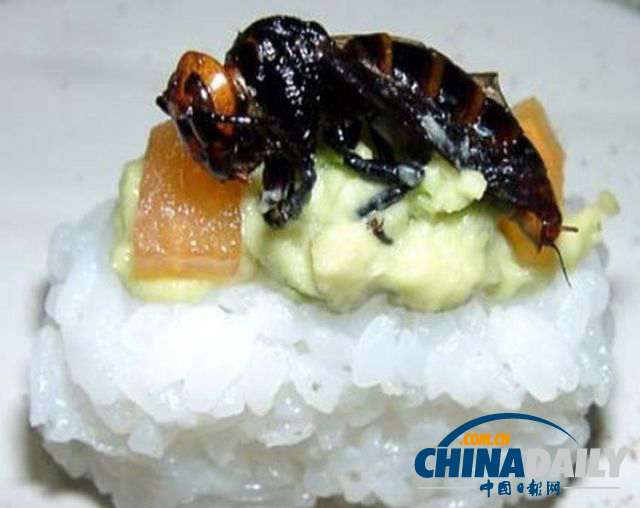 世界各地超級(jí)恐怖的蟲(chóng)子大餐（組圖）