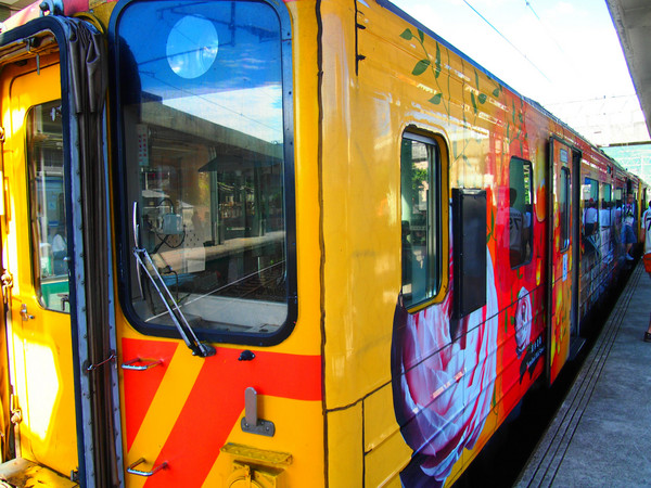 畢業(yè)之前去臺灣看看世界