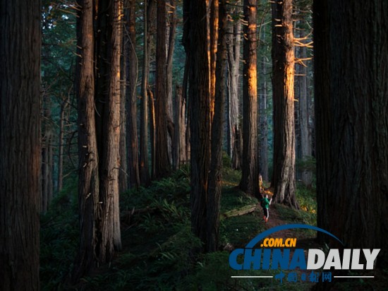 《國(guó)家地理》推薦近期熱門景點(diǎn)