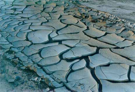 全球變暖導(dǎo)致干旱