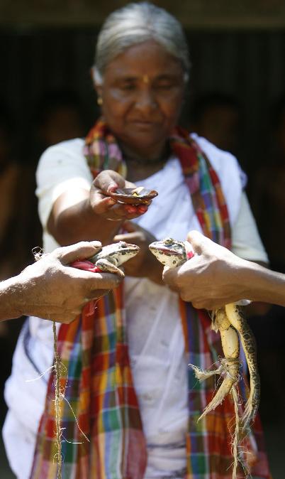 印度村莊為青蛙辦盛大婚禮 3000人參加祈求降雨