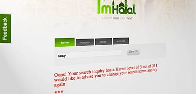 荷蘭公司發(fā)明穆斯林專用搜索引擎過(guò)濾“不良信息”