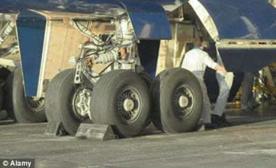 羅男子“差錢”棲身飛機(jī)起落架 高空犯險奇跡生還