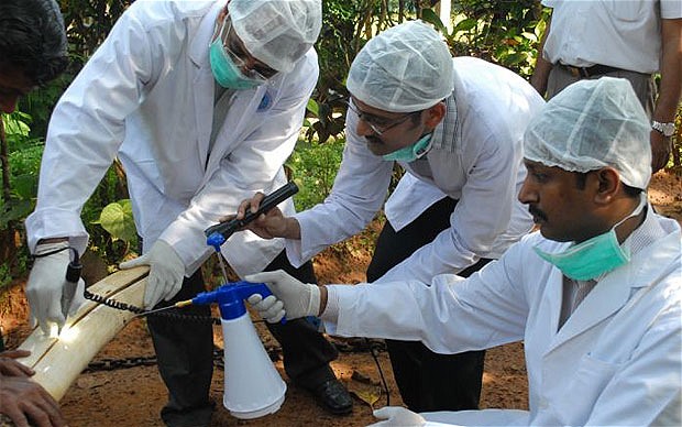 印度牙醫(yī)實(shí)施世界首例大象根管治療 未使用麻藥