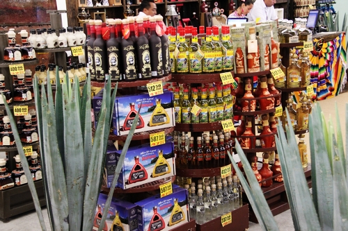 帶您體驗坎昆會場的墨西哥風味