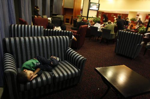 以色列北部發(fā)生山火約40人死亡 呼吁多國援助