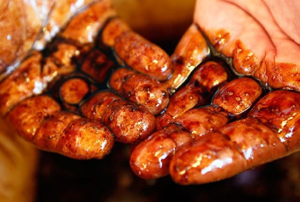 盤點(diǎn)2010年國際社會(huì)十大悲歡離合