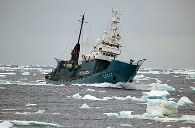 反捕鯨組織與日本捕鯨船再起沖突 遭高壓水槍驅(qū)趕