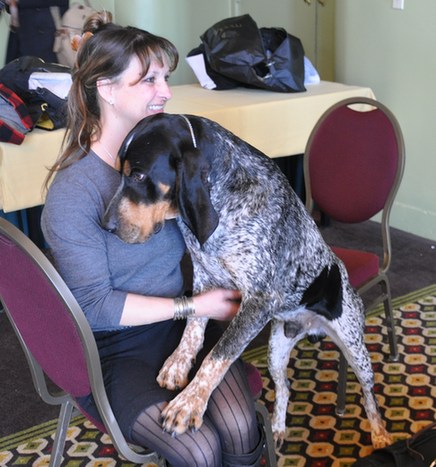 135屆西敏寺狗展情人節(jié)開幕 6新品種提前亮相