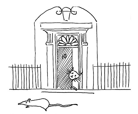 入府倆月 唐寧街“御貓”終于抓到首只老鼠