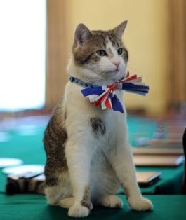 花絮:矮個衛(wèi)兵成明星 卡梅倫“故地重游”