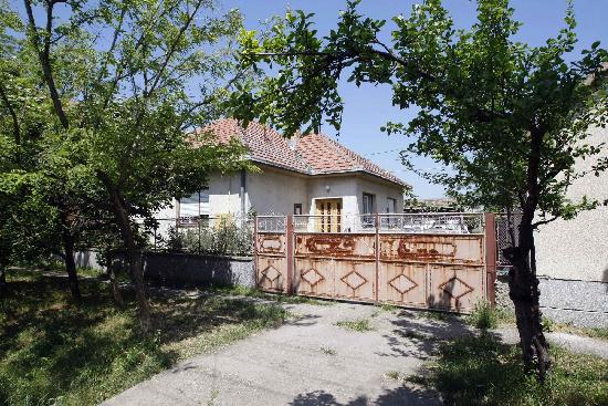 塞將調(diào)查姆拉迪奇“保護傘” 百萬歐元懸賞金充公