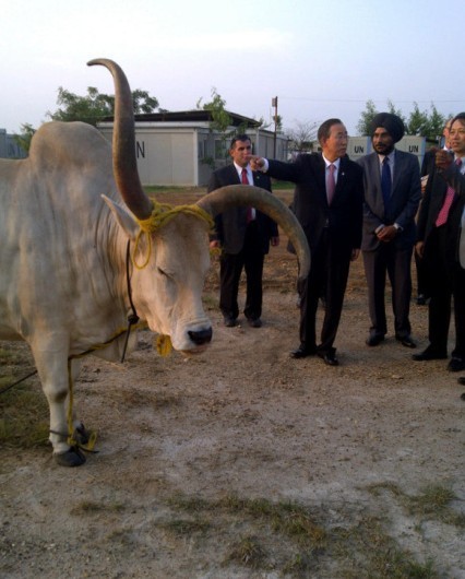 南蘇丹舉行獨(dú)立慶典 中國派特使參加、與其建交