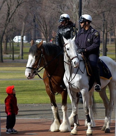 美國多州陷入財政危機 引發(fā)系列變故