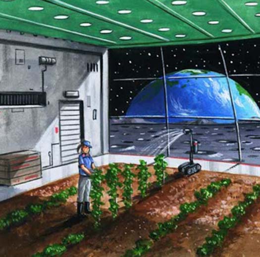 看上去很酷！達(dá)美樂(lè)比薩公司拋出在月球開(kāi)分店計(jì)劃