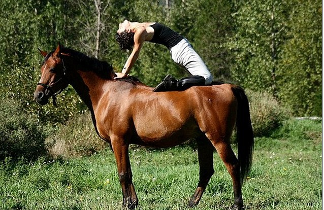 加拿大高齡賽馬愛學(xué)主人做瑜伽 強(qiáng)身療傷重回賽場(chǎng)