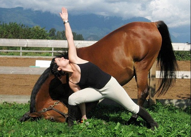 加拿大高齡賽馬愛學(xué)主人做瑜伽 強(qiáng)身療傷重回賽場(chǎng)