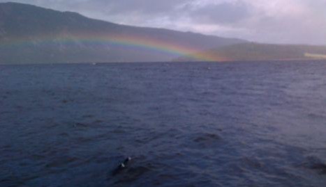 尼斯湖再現(xiàn)水怪?狀如“潛在水下的鳥(niǎo)”