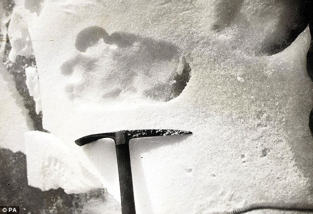 俄官方稱發(fā)現(xiàn)雪人存在“確鑿證據(jù)” 質(zhì)疑者斥為炒作