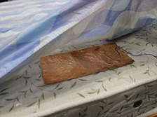 日本發(fā)明對付打鼾機器熊枕 聲音過響可干預(yù)睡姿