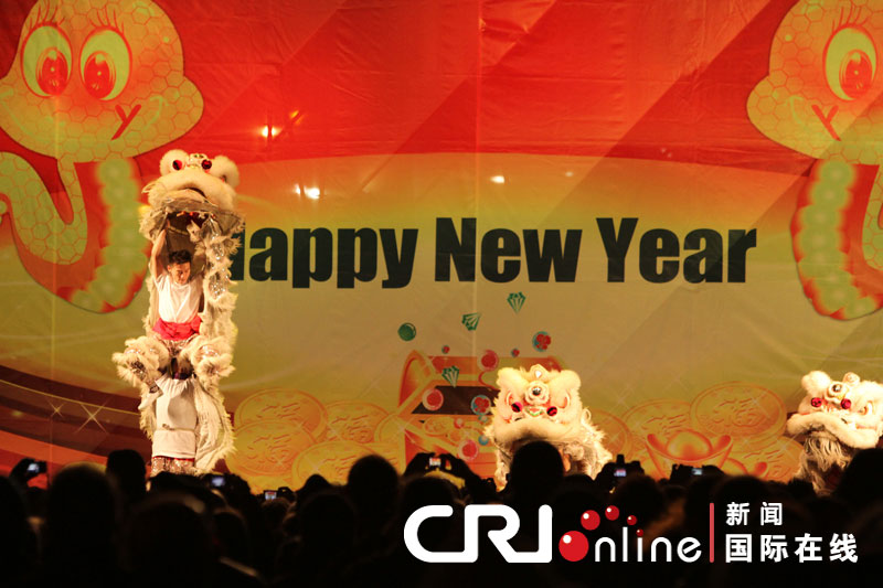 “歡樂(lè)春節(jié)”響徹羅馬 焰火表演照亮斗獸場(chǎng)