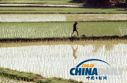 攝影師披露罕見越戰(zhàn)老照片 美軍全面出擊火光沖天