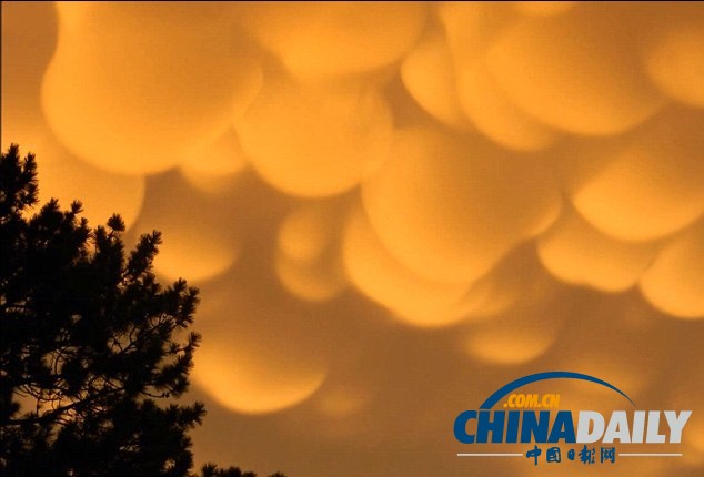 組圖：美國密歇根出現(xiàn)罕見橙色乳房云 美不勝收