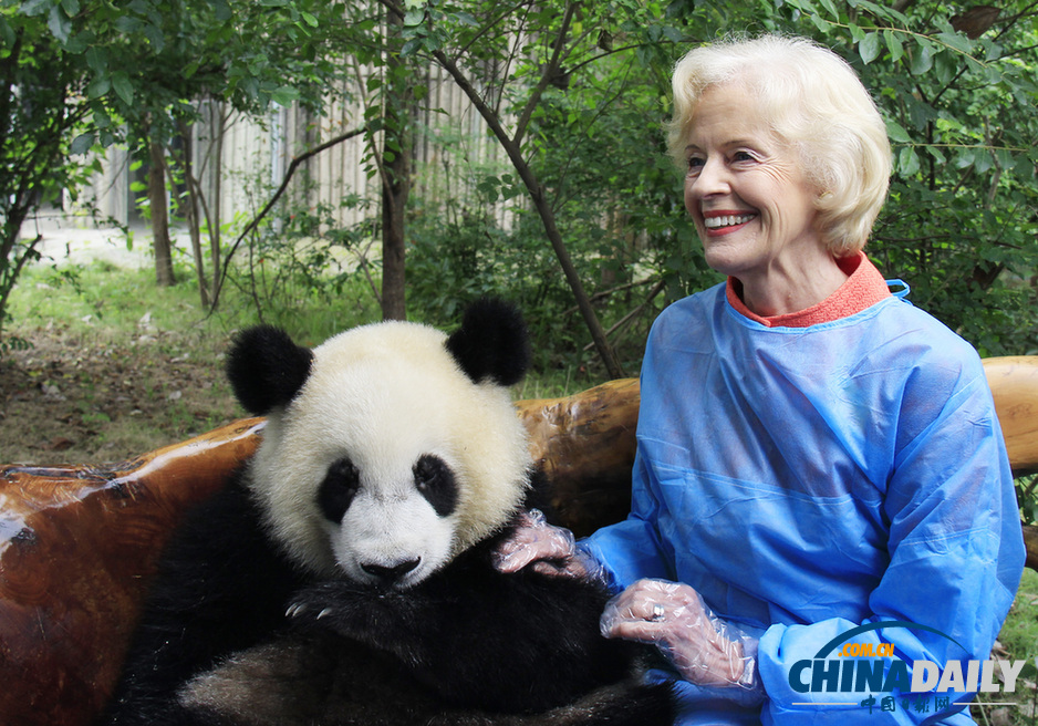 澳大利亞總督布賴斯訪問成都 與大熊貓親密接觸(組圖)