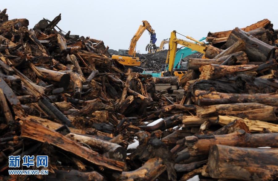 日本3·11大地震一周年：“加油！東北災(zāi)區(qū)！”