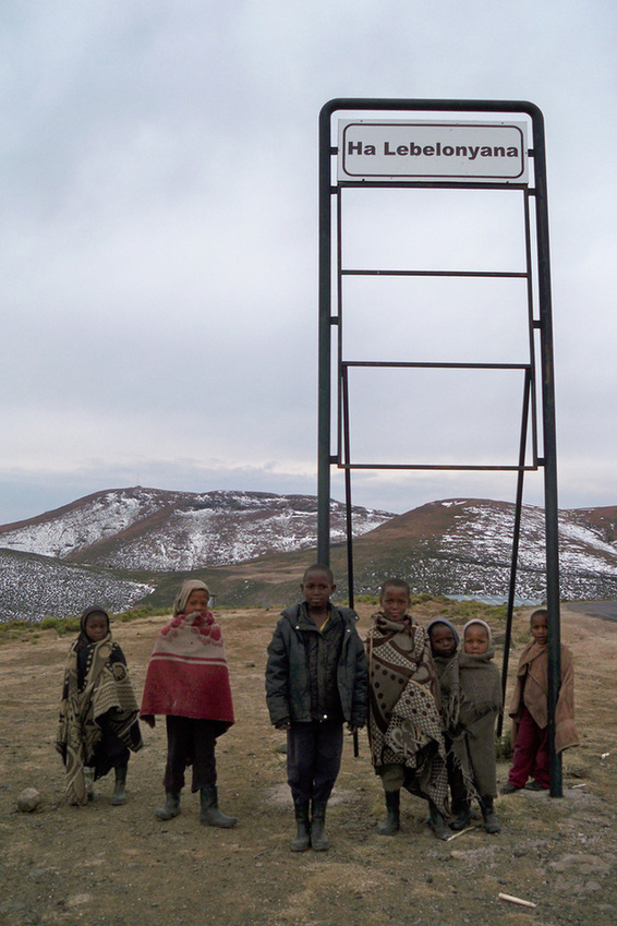 靦腆的孩子們（優(yōu)秀獎）