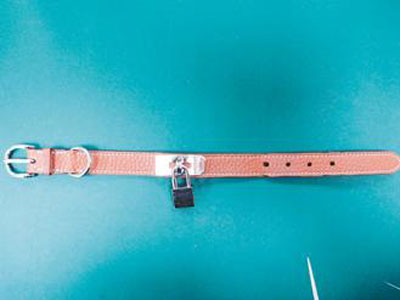 名牌大盜偷高檔店被逮 不識(shí)貨勿把