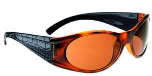 太陽(yáng)眼鏡完全搭配手冊(cè)